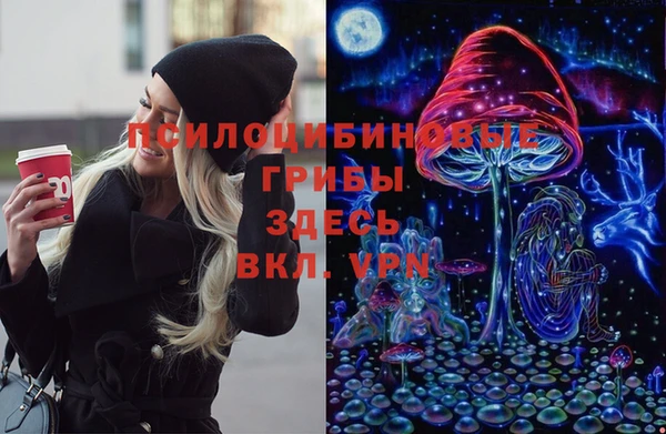 apvp Киренск