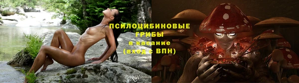 apvp Киренск