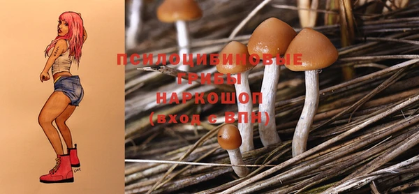 гашик Яровое