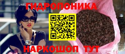 Альфа ПВП Малгобек