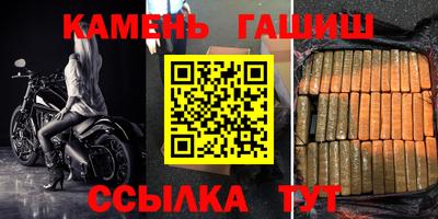 Альфа ПВП Малгобек