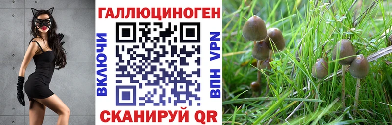 Псилоцибиновые грибы мухоморы  Нефтекамск 