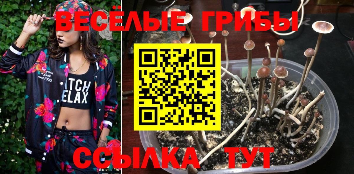 Псилоцибиновые грибы мухоморы  Вход с VPN  Нефтекамск  Псилоцибиновые грибы прущие грибы 